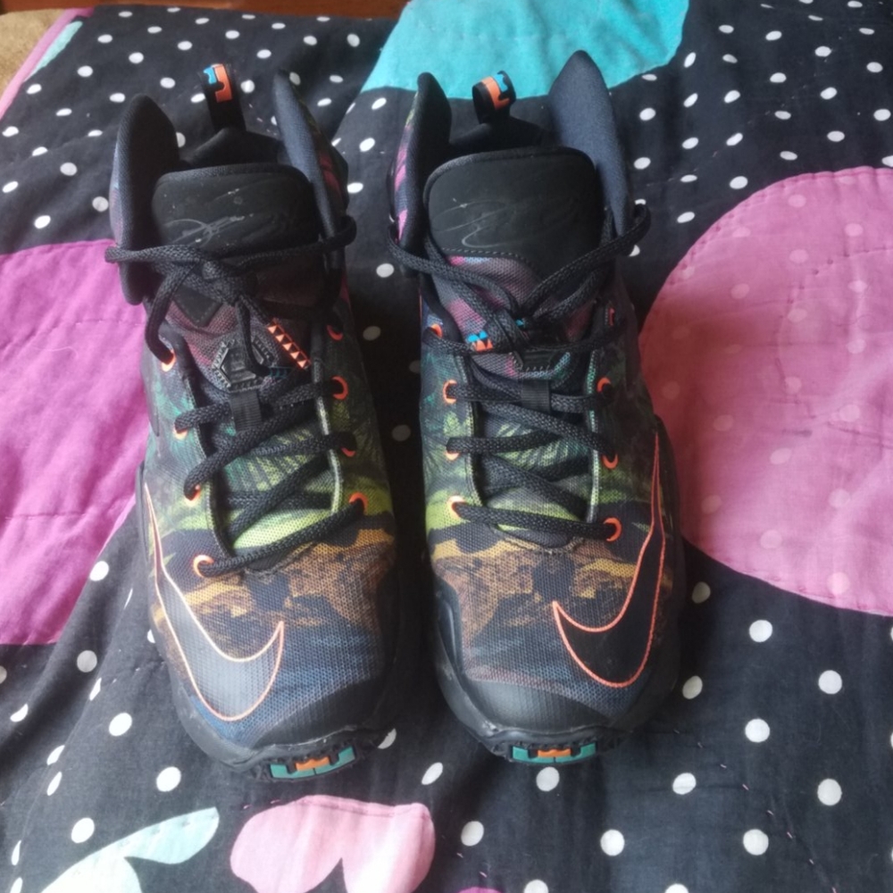 I am selling these lebrons only worn once